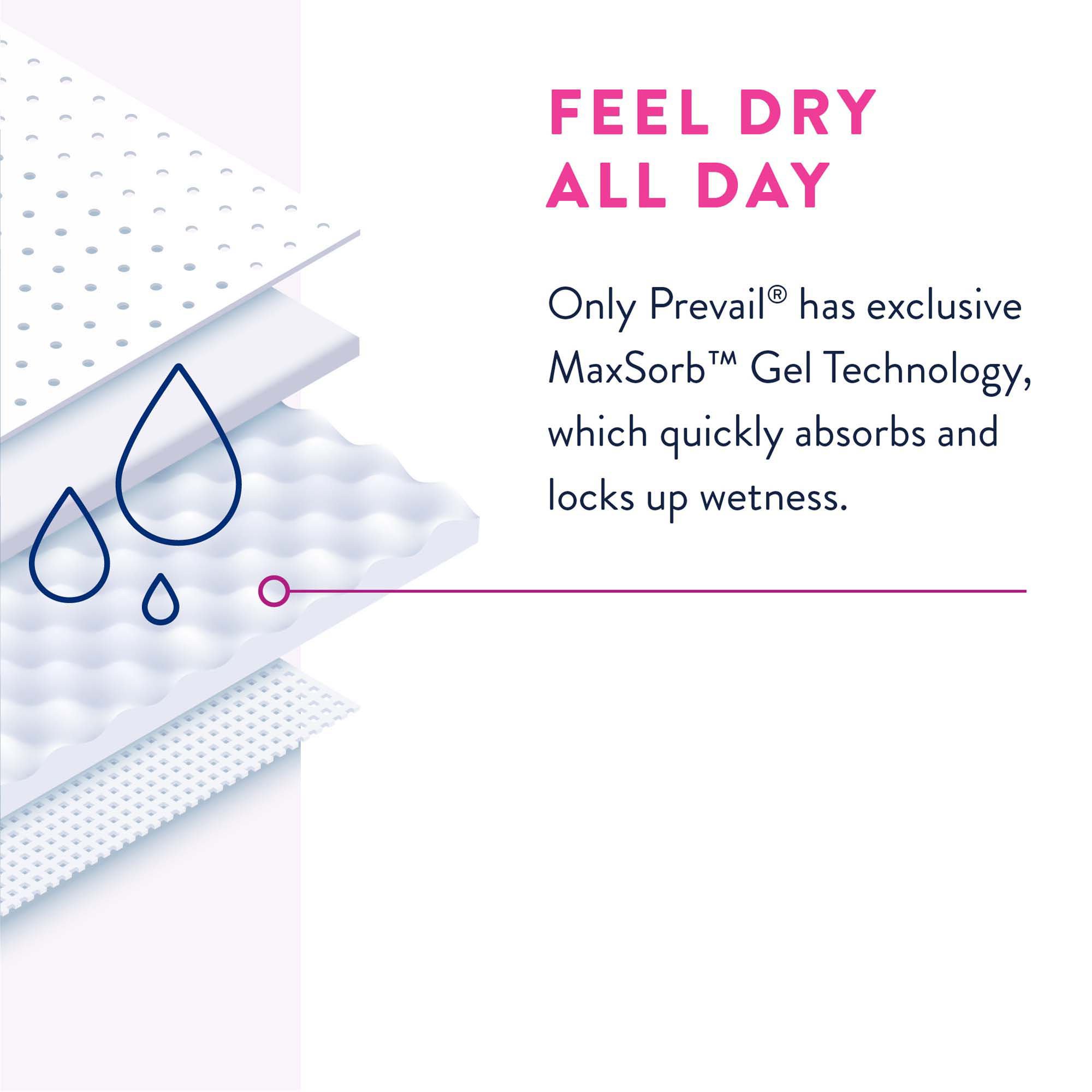 Prevail® Daily Absorbent Underwear, X-Large, Lavender - Image 6