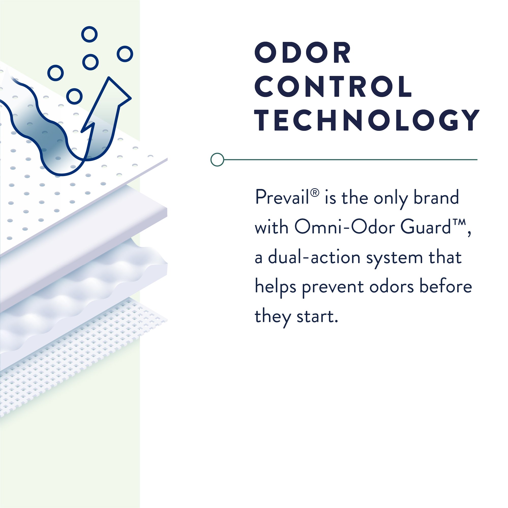 Prevail® Overnight Absorbent Underwear, Small - Image 5