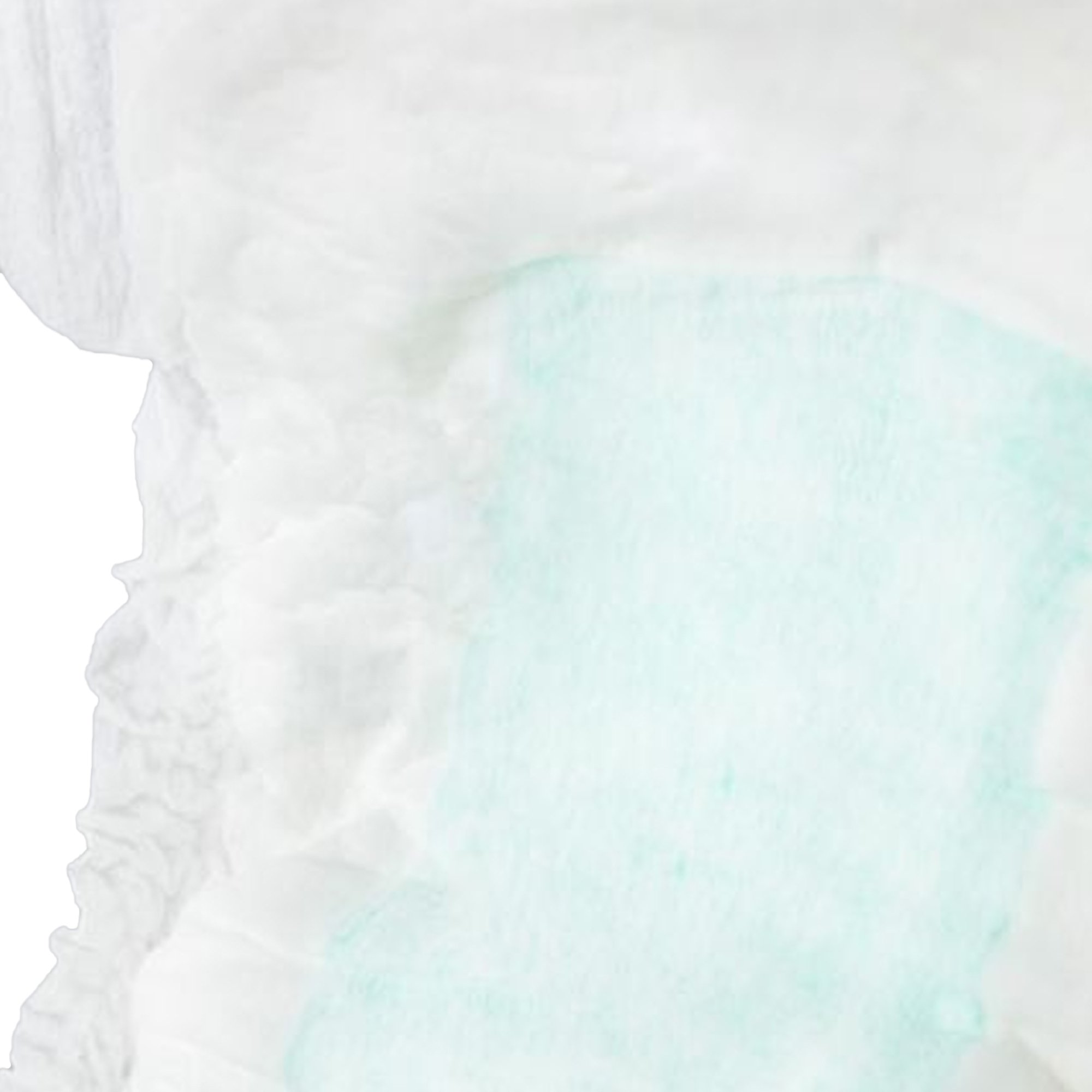 TotalDry Maximum Pads, Moderate Absorbency - Image 2