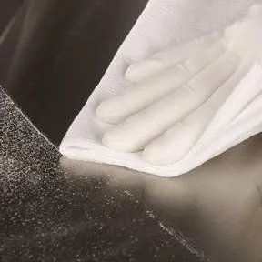 MicroGenesis™ Cleanroom Wipe