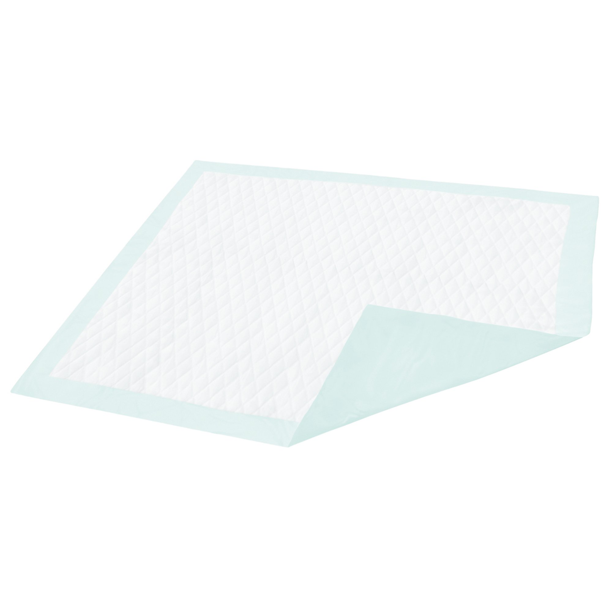 Dignity® Light Absorbency Underpad, 23 x 26 Inch