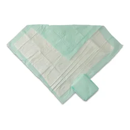 Disposable Underpad