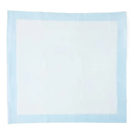 Protection Plus® Disposable Underpad