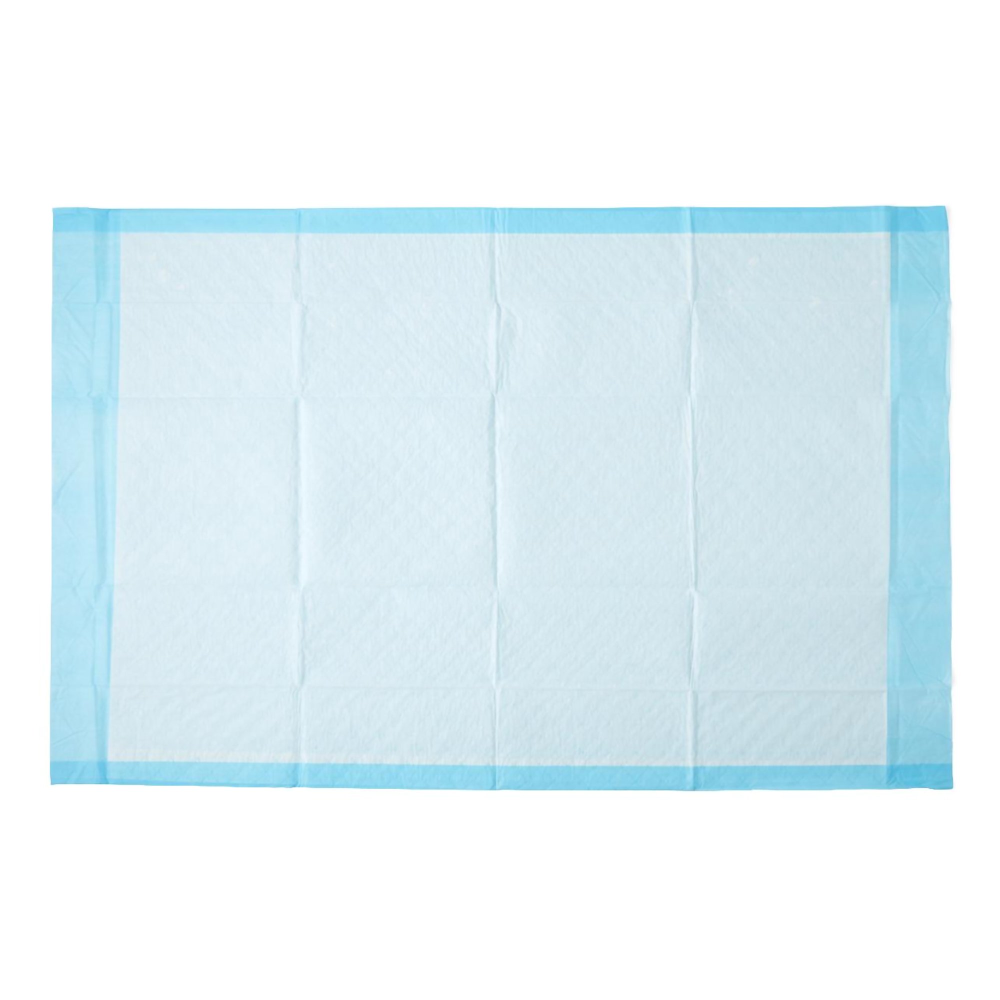 Protection Plus® Disposable Underpads from Medline, 23 Inch x 1 Yard - Image 2