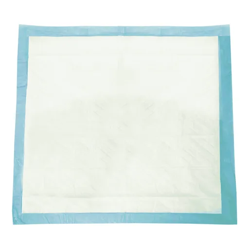 Tranquility® Essential Moderate Absorbency Underpads, 22 x 36 Inch