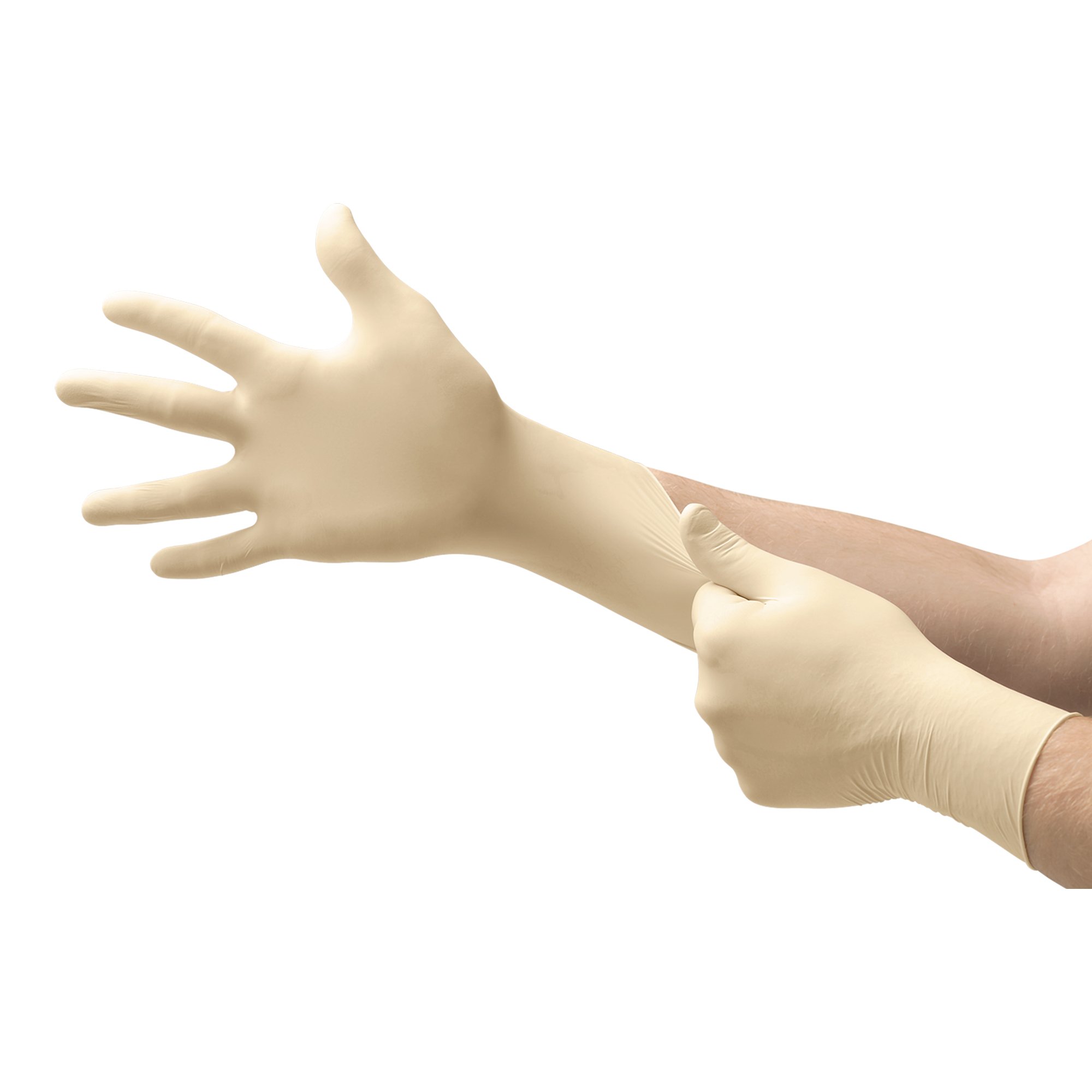 Evolution One® Latex Exam Glove, Medium, White - Image 2