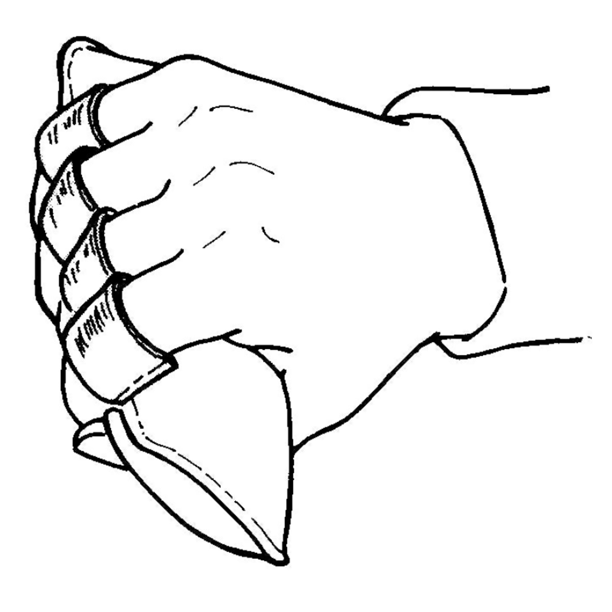 SkiL-Care™ Finger Contracture Cushion - Image 4