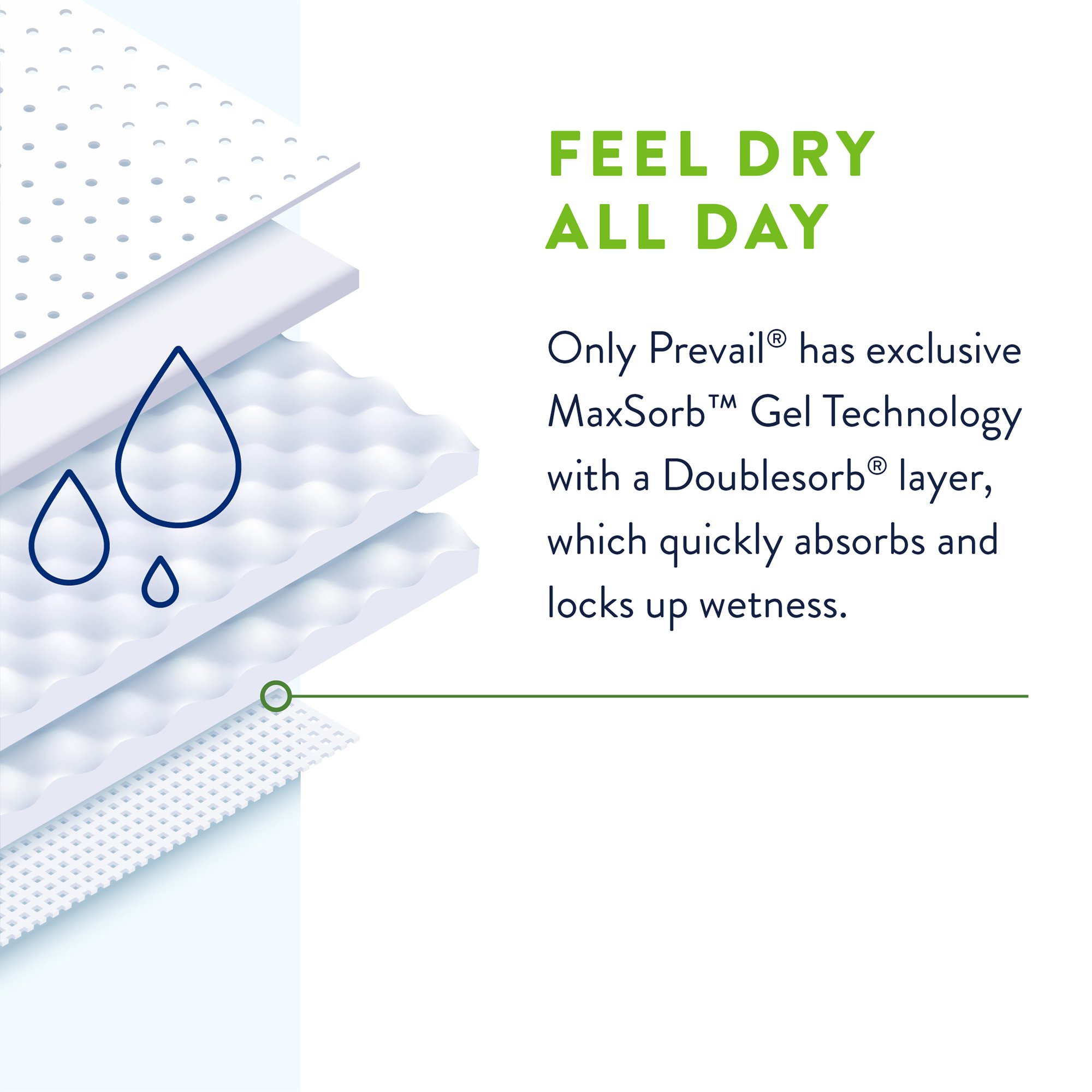Prevail® Per-Fit 360°™ Daily Briefs, Maximum Plus, Large - Image 6
