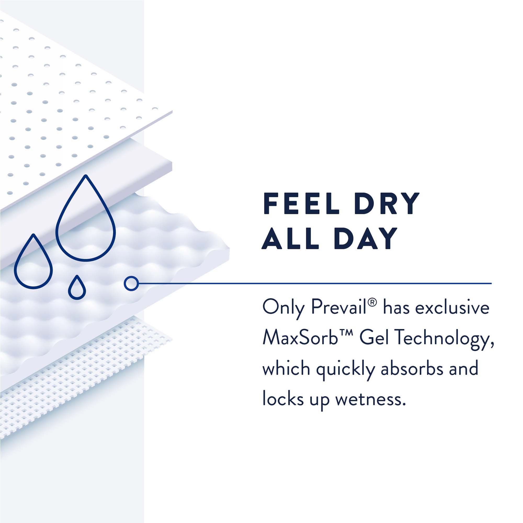 Prevail® Daily Pant Liners Moderate Absorbency Incontinence Liner, 28 Inches - Image 6