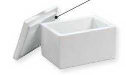 ThermoSafe® Insulated Shipper