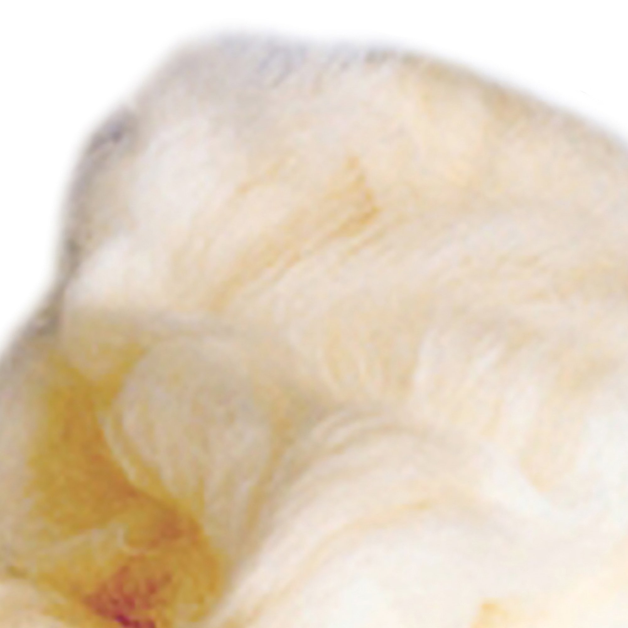 McKesson Lamb's Wool, 4 ounce - Image 4