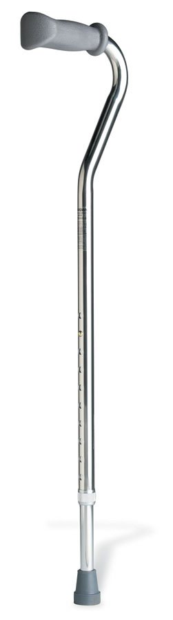 Guardian® Offset Cane