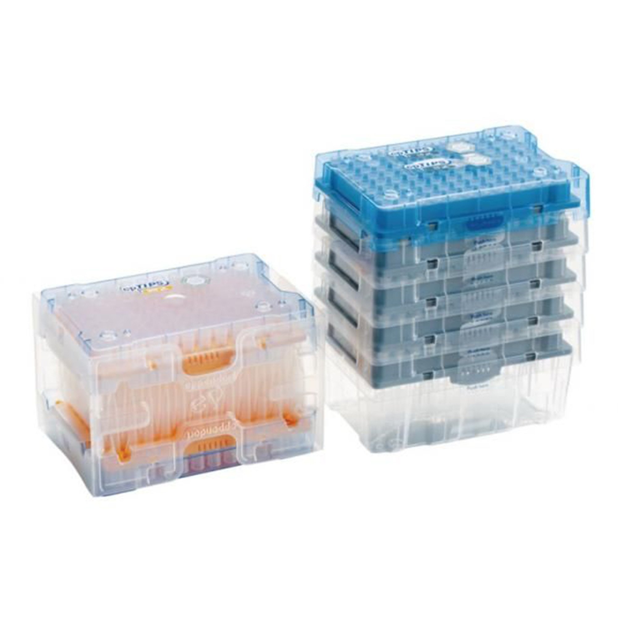 epT.I.P.S.® Reloads, Eppendorf Quality™ Pipette Tip, 20 to 300 µL - Image 2