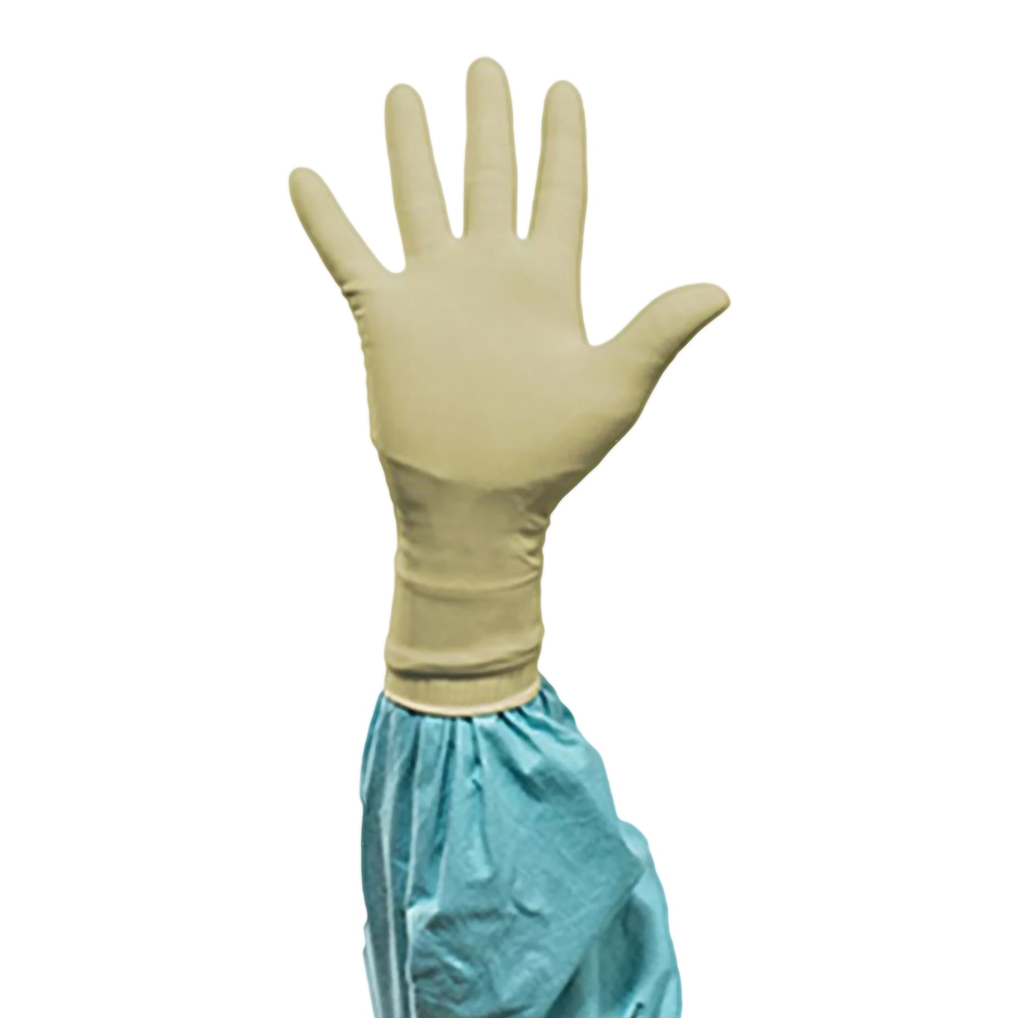 Biogel® PI Polyisoprene Surgical Glove, Size 6, Straw Color - Image 3