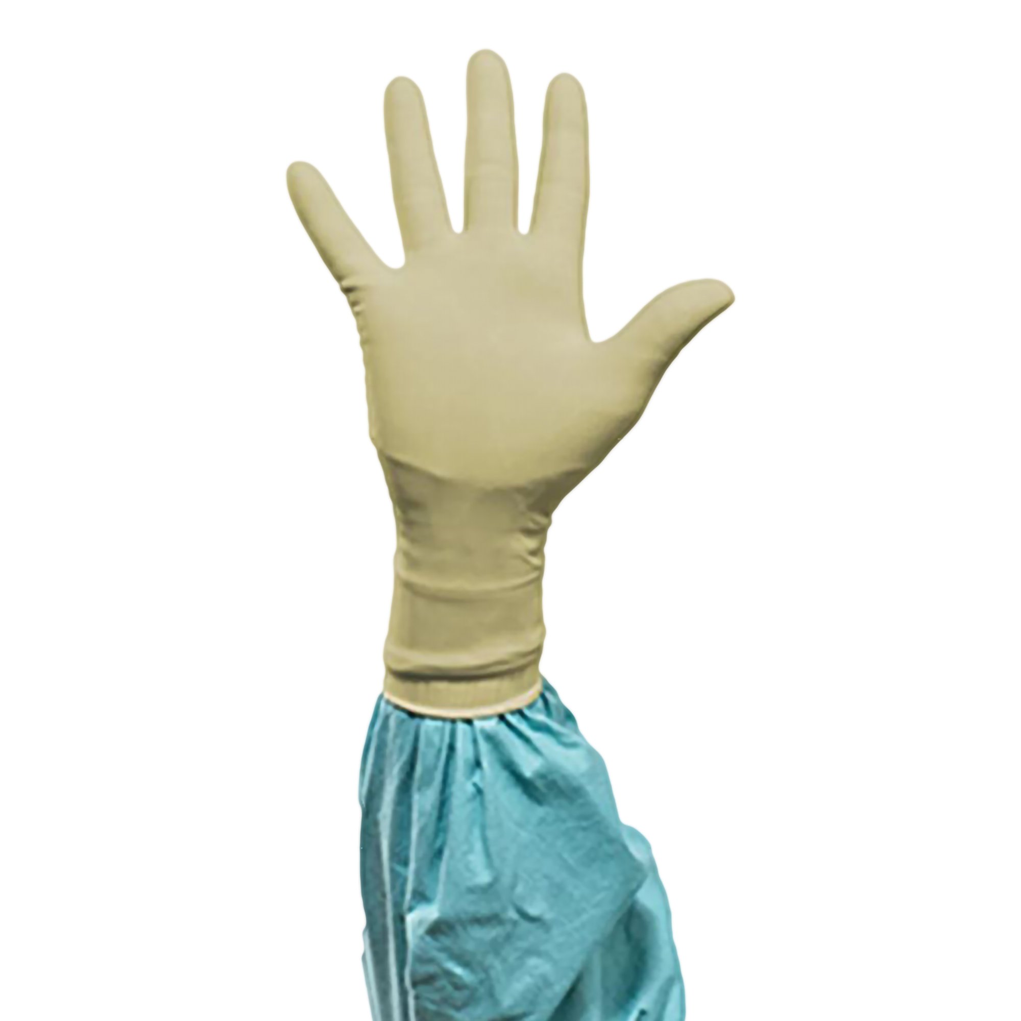 Biogel® PI Polyisoprene Surgical Glove, Size 6.5, Straw Color - Image 3