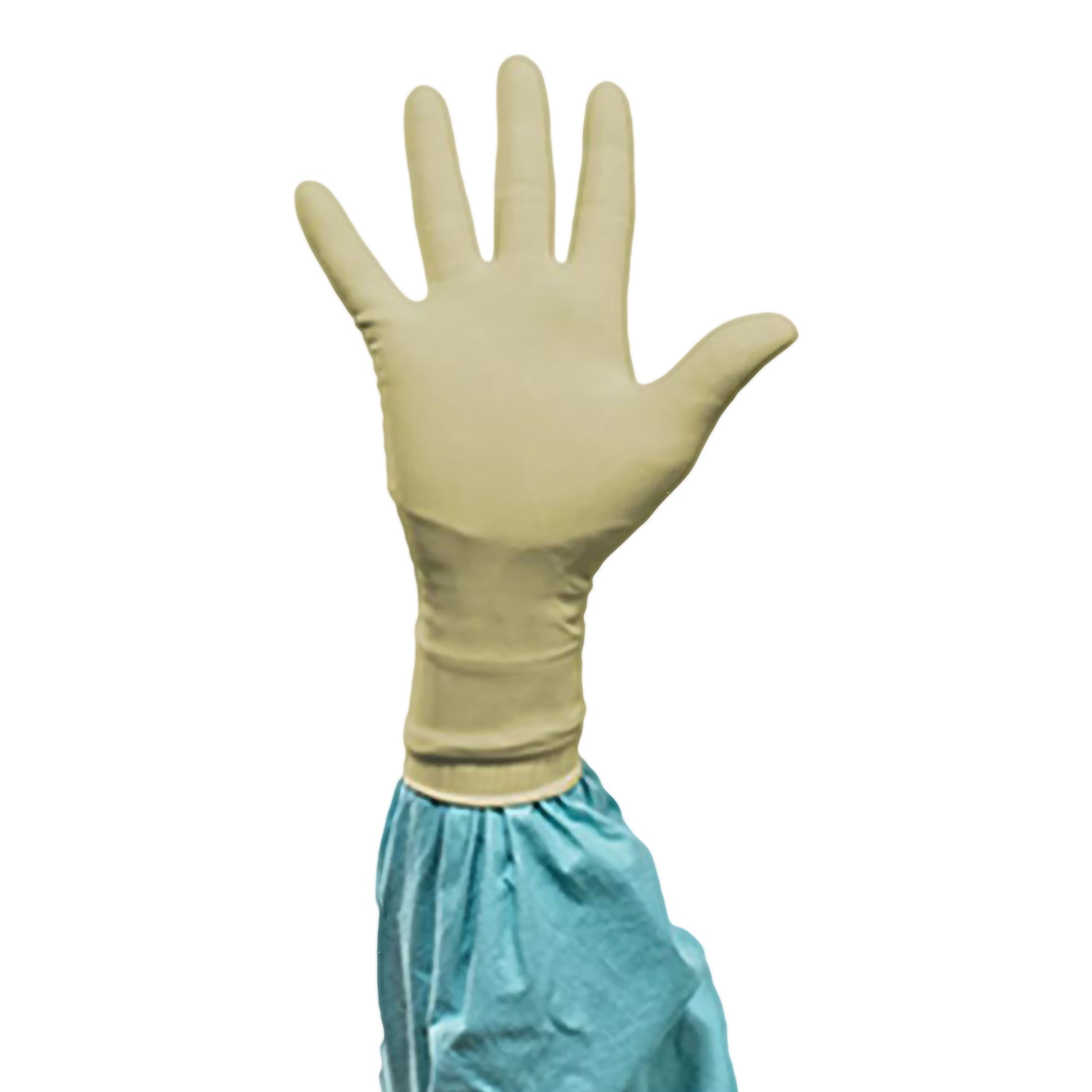 Biogel® PI Polyisoprene Surgical Glove, Size 7, Straw Color - Image 3