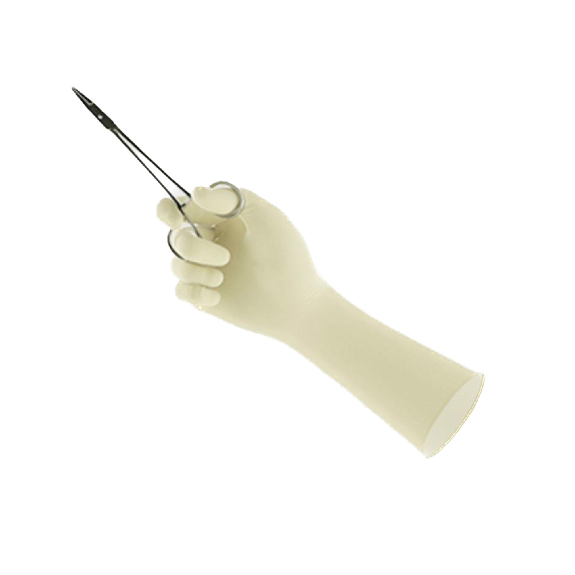 Encore® Perry® Style 42® PF Latex Surgical Glove, Size 7.5, Natural - Image 5