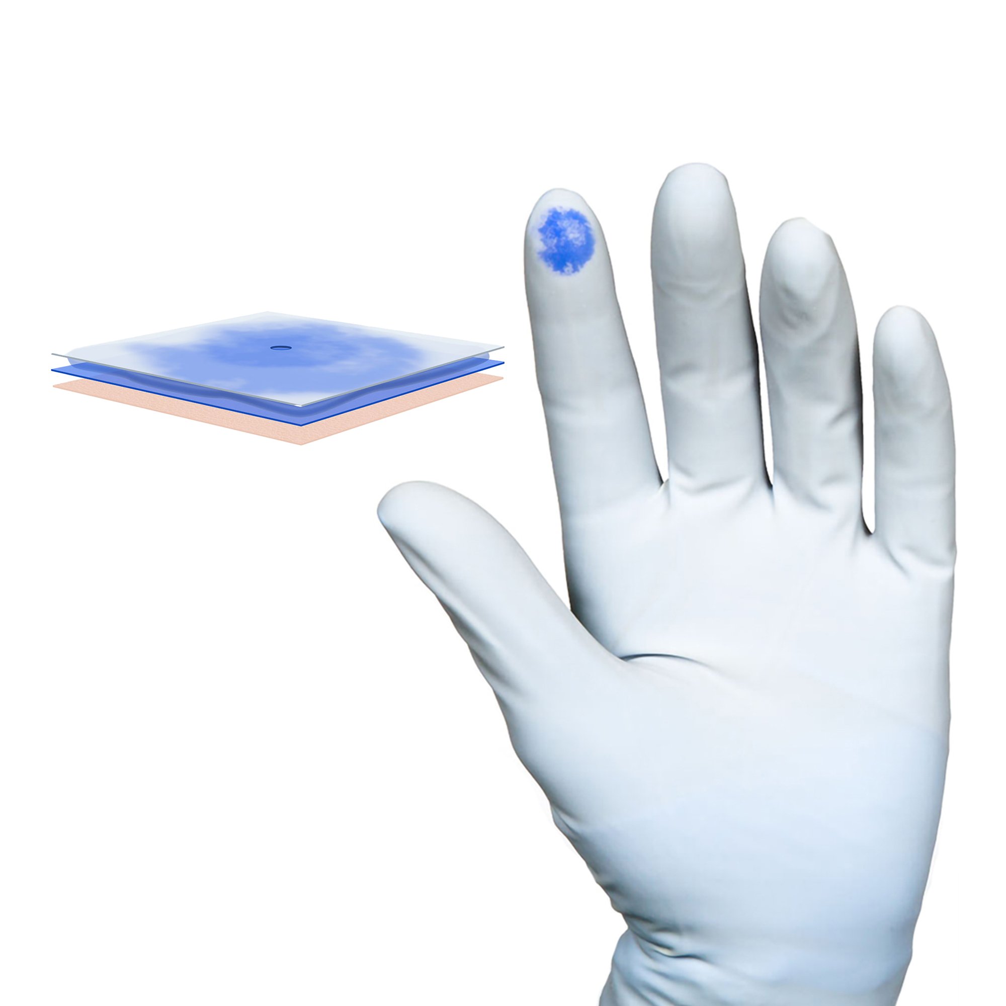 Biogel® PI Indicator Underglove™ Polyisoprene Surgical Underglove, Size 6, Blue - Image 3