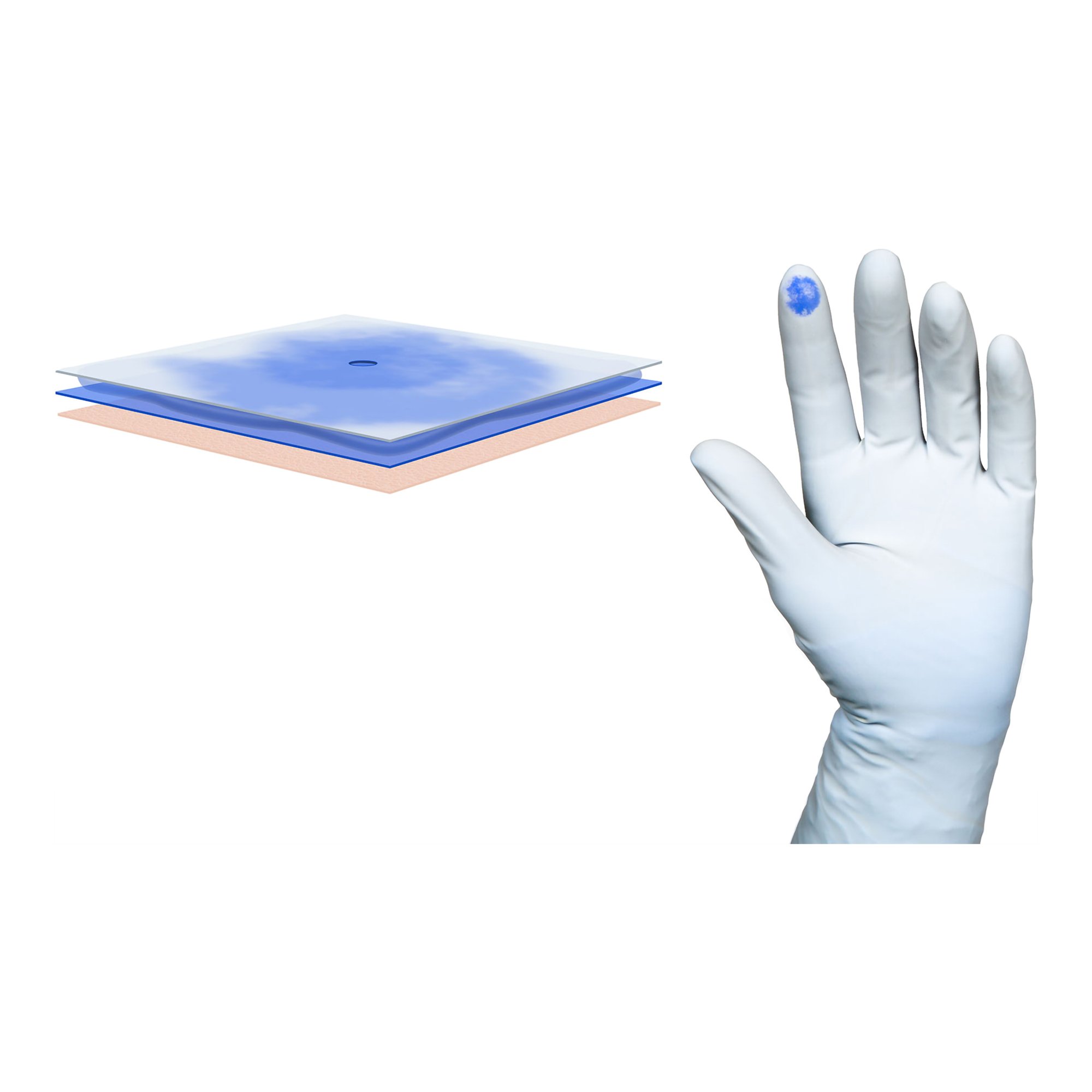 Biogel® PI Indicator Underglove™ Polyisoprene Surgical Underglove, Size 8, Blue - Image 2