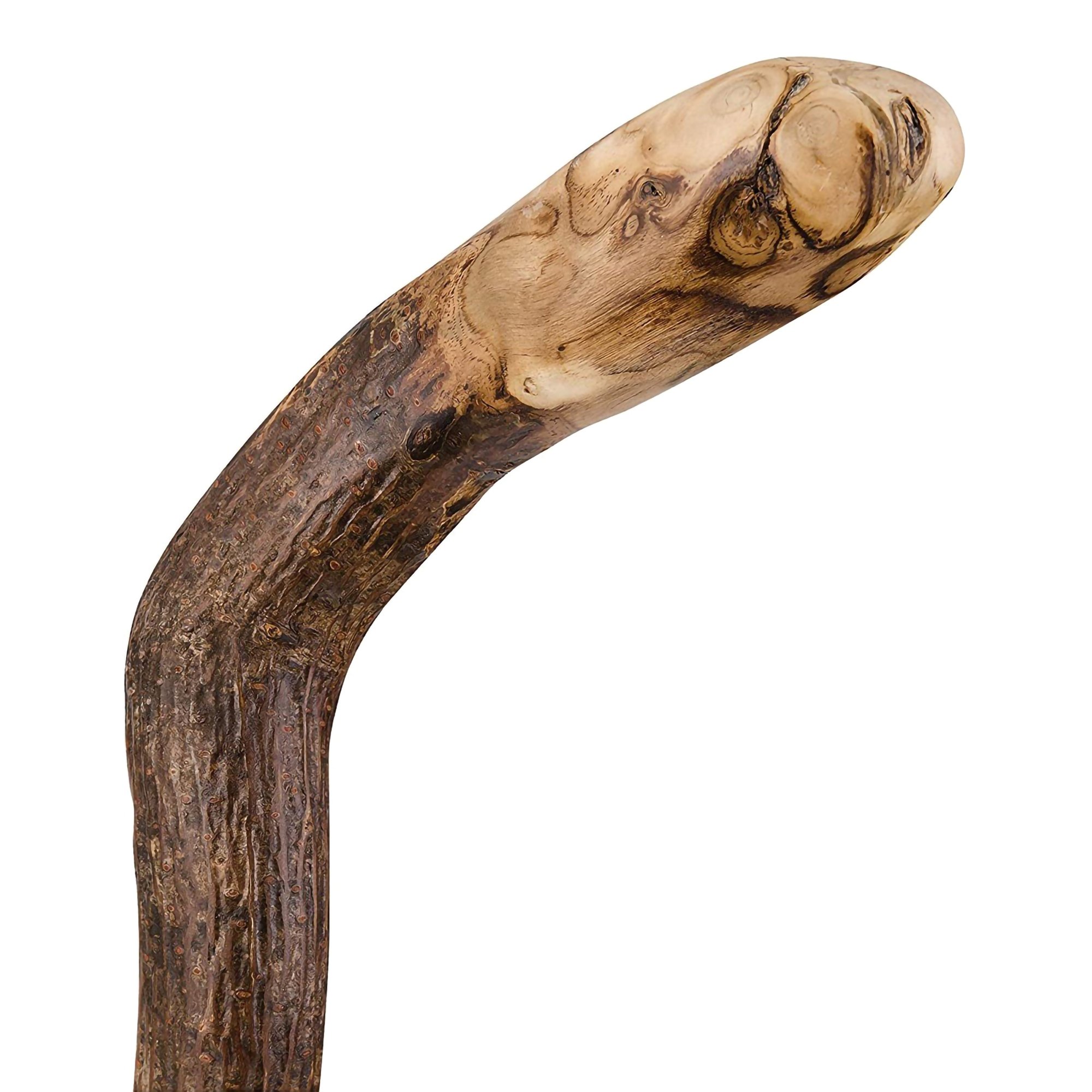Brazos™ Assorted Hardwood Knob Root Rustic Walking Cane, 37-Inch Height - Image 3