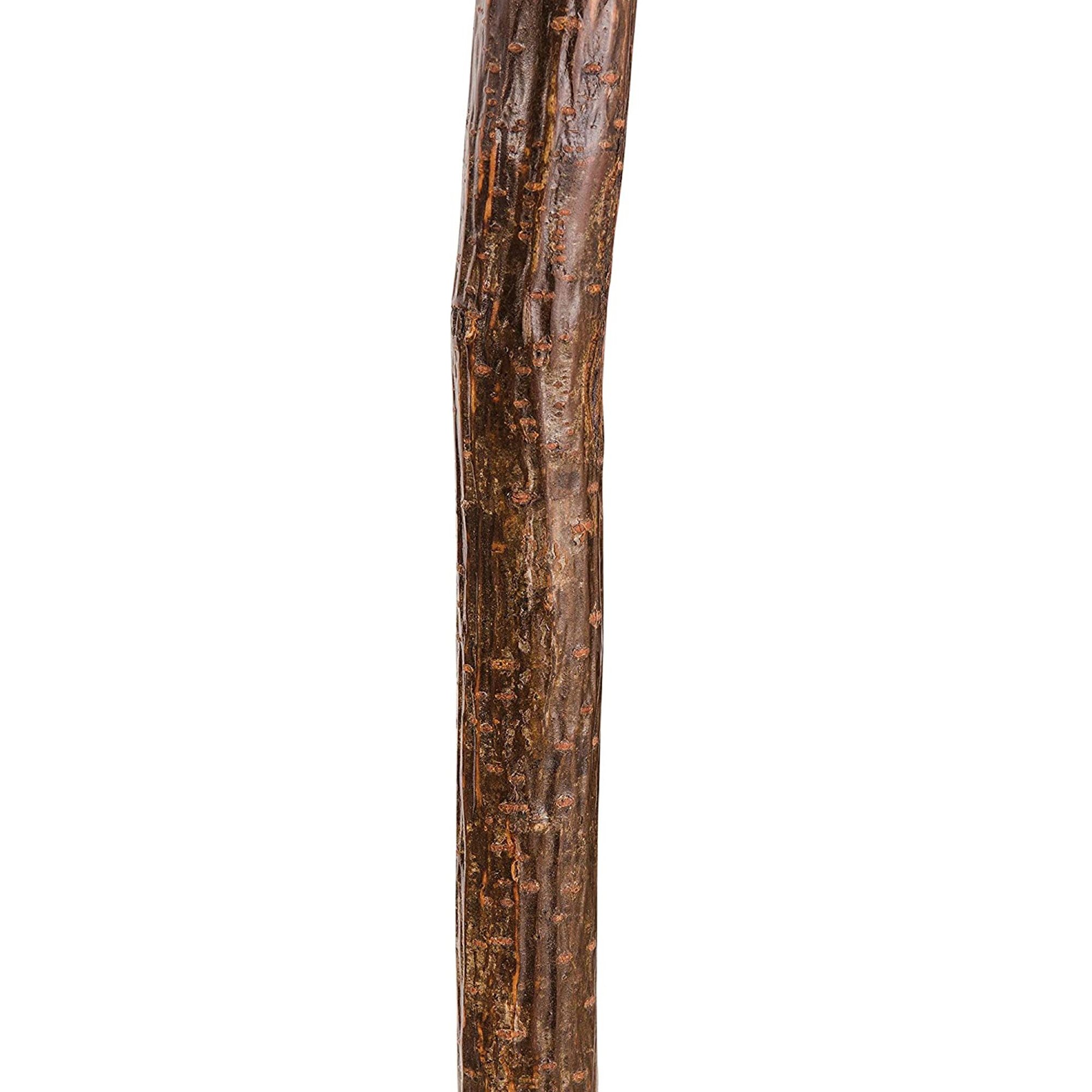 Brazos™ Assorted Hardwood Knob Root Rustic Walking Cane, 37-Inch Height - Image 4