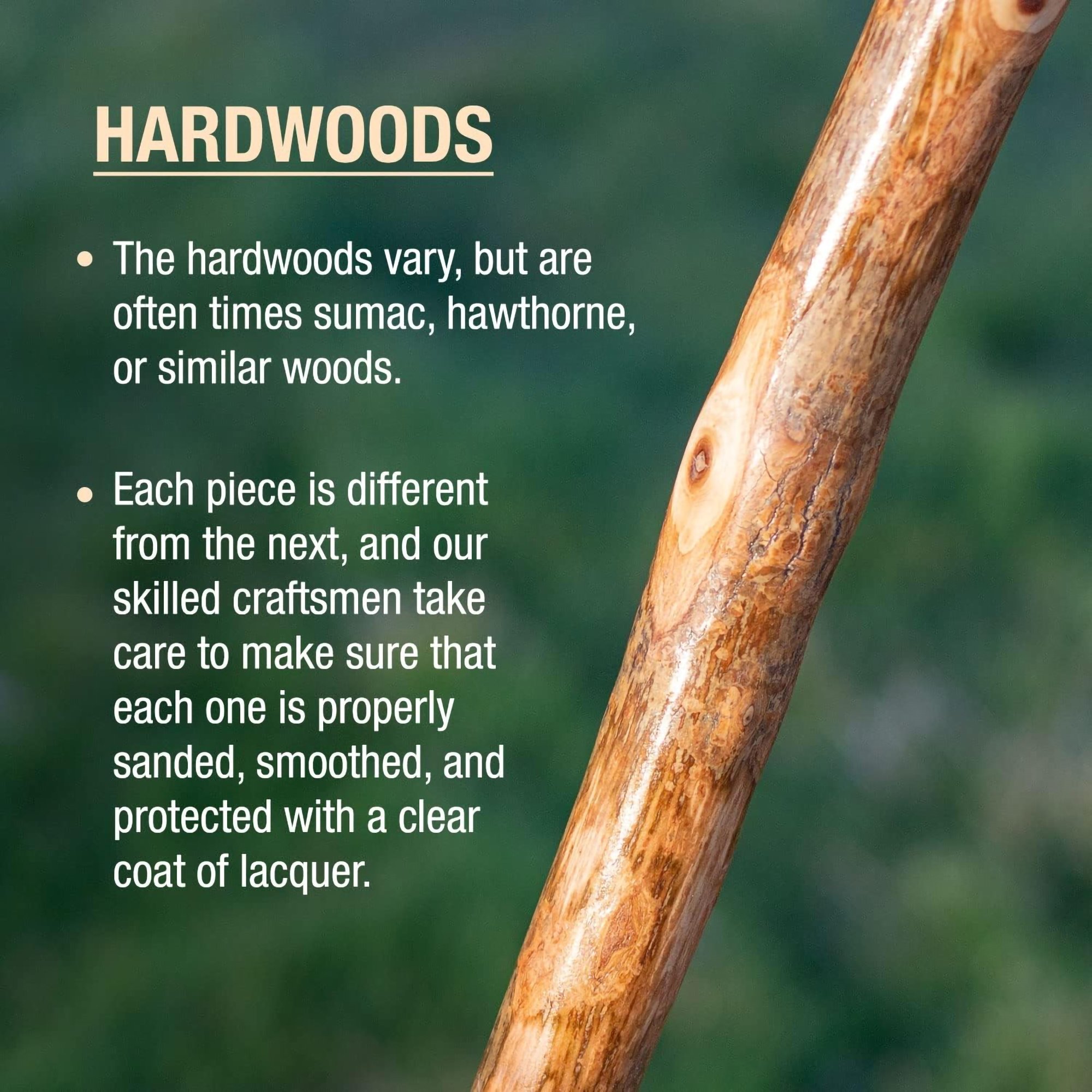 Brazos™ Assorted Hardwood Rustic Walking Stick, 41-Inch - Image 5