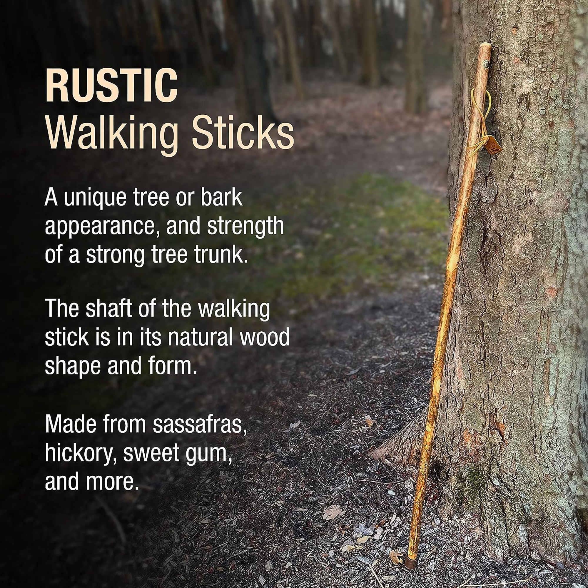 Brazos™ Assorted Hardwood Rustic Walking Stick, 41-Inch - Image 8