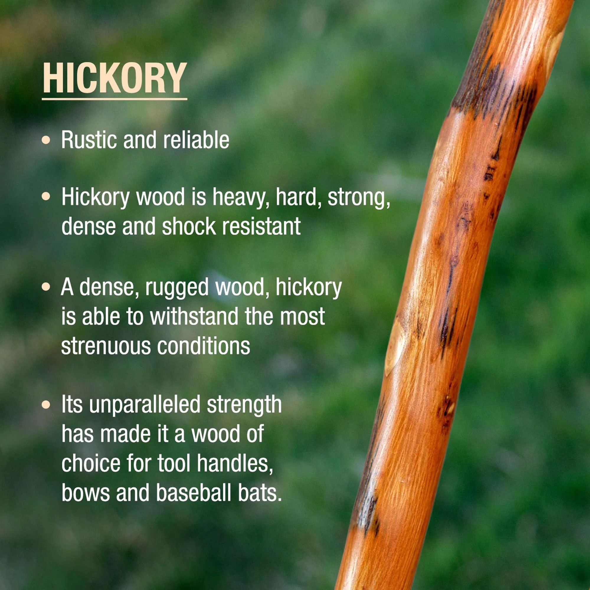 Brazos™ Exotic Leather Safari Hickory Rustic Walking Stick, 55-Inch - Image 3