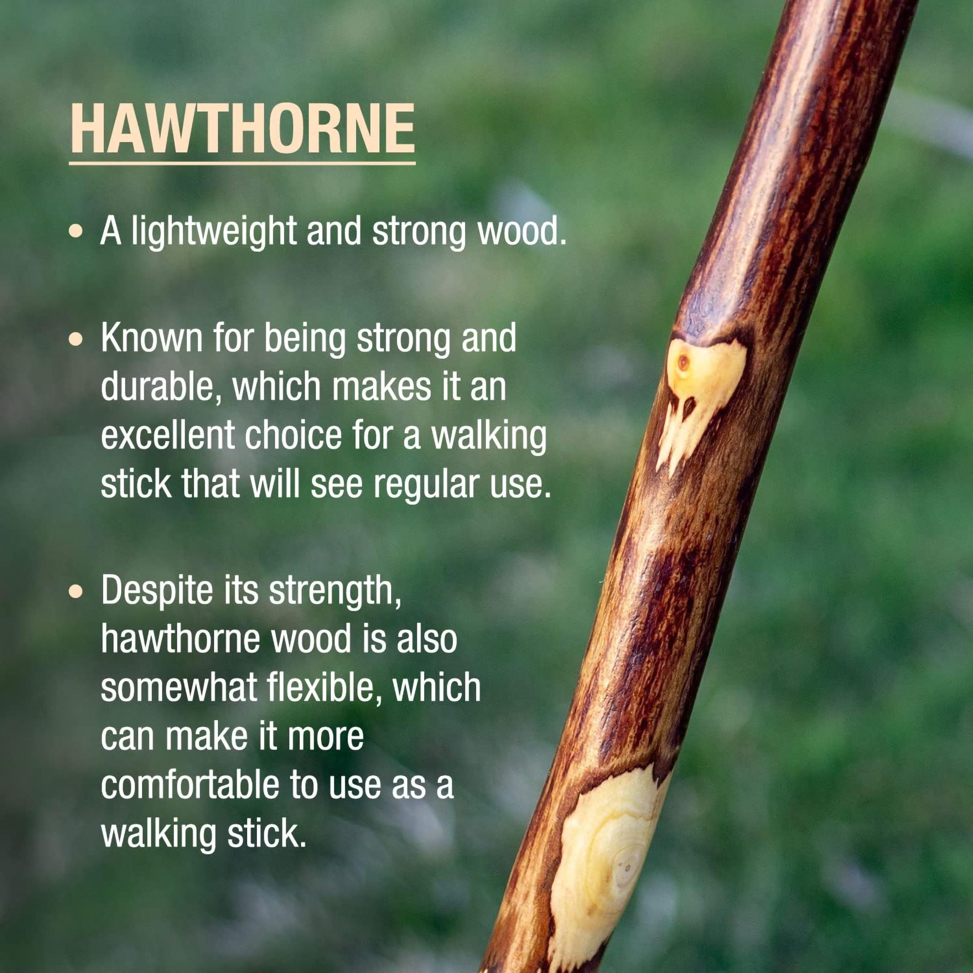Brazos™ Hawthorn Rustic Walking Stick, 48-Inch Height - Image 6