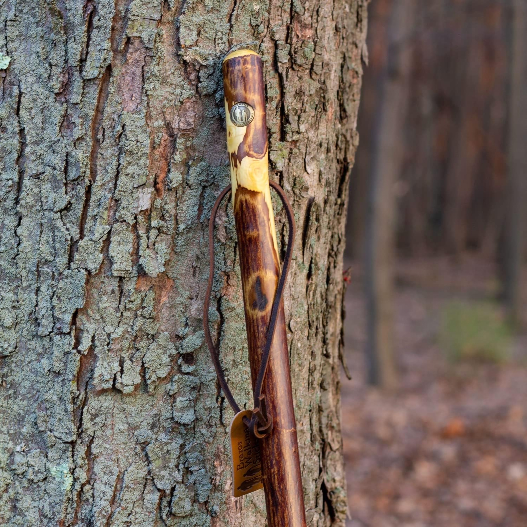 Brazos™ Hawthorn Rustic Walking Stick, 58-Inch Height - Image 5