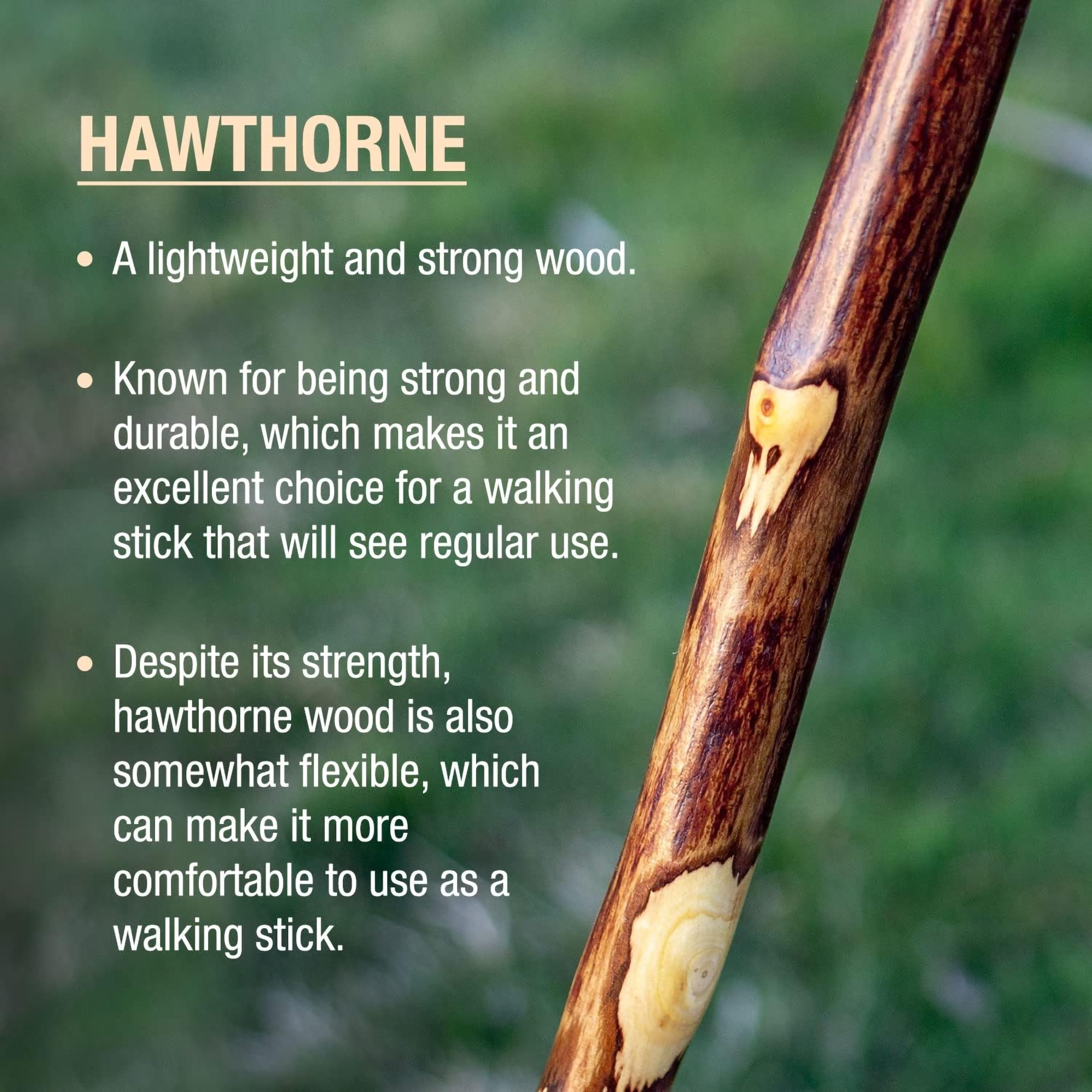 Brazos™ Hawthorn Rustic Walking Stick, 58-Inch Height - Image 6