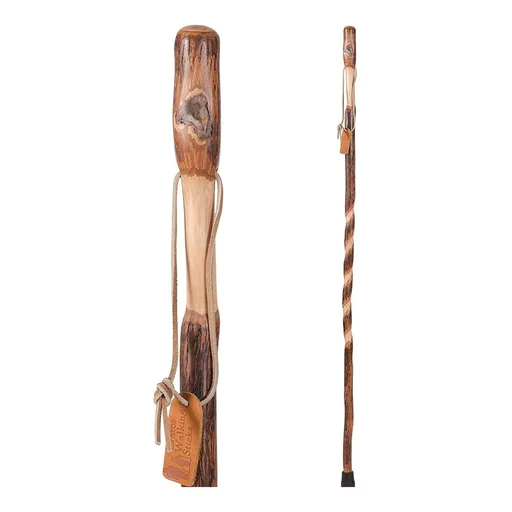 Brazos™ Iron Bamboo Rustic Walking Stick, 48 Inch Height, Red