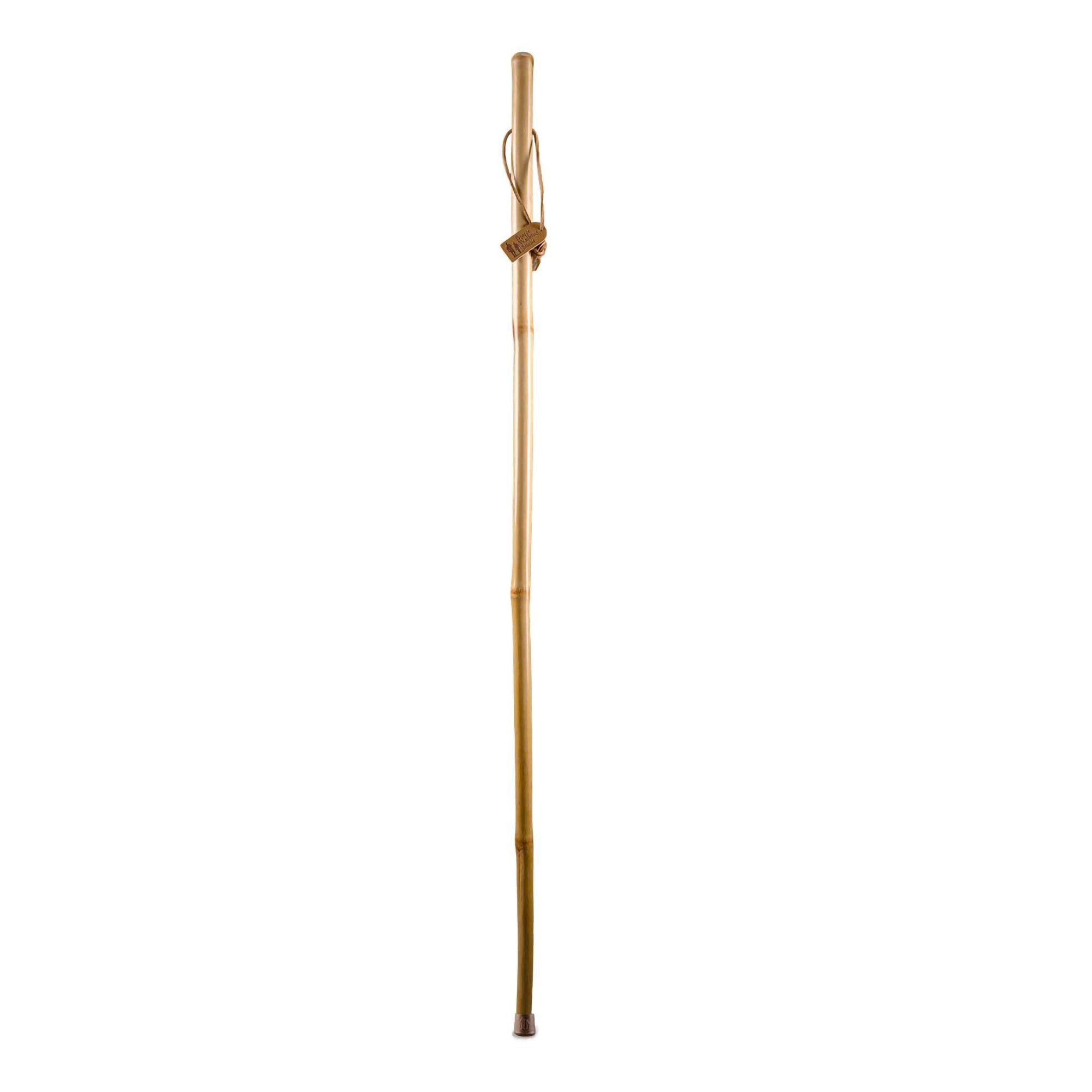 Brazos™ Iron Bamboo Rustic Walking Stick, 55 Inch Height - Image 2