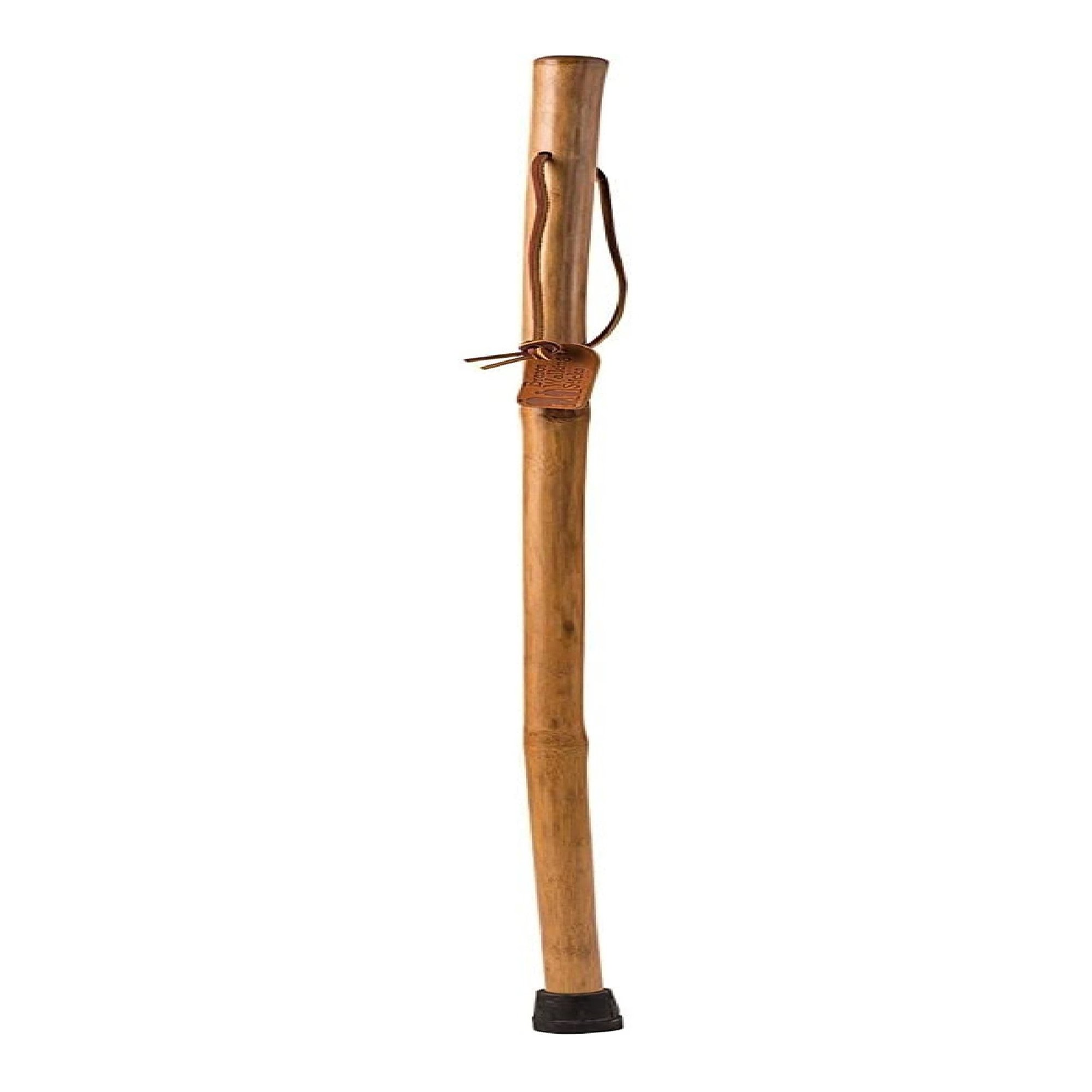 Brazos™ Iron Bamboo Rustic Walking Stick, 58 Inch Height, Red - Image 2
