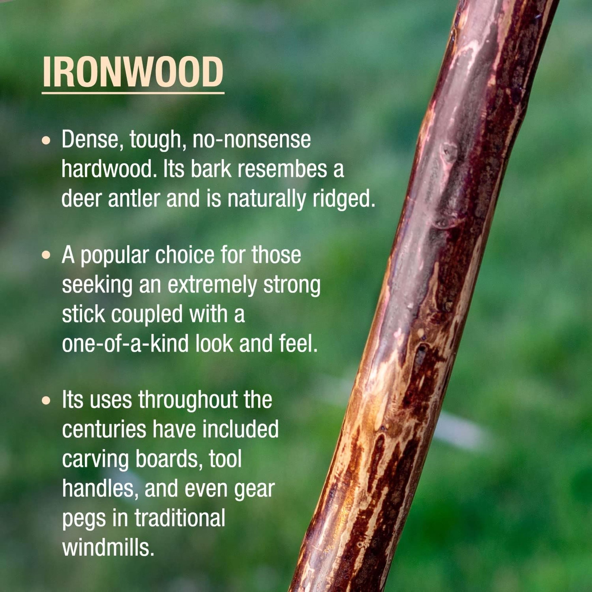 Brazos™ Ironwood Rustic Walking Stick, 48-Inch Height - Image 7