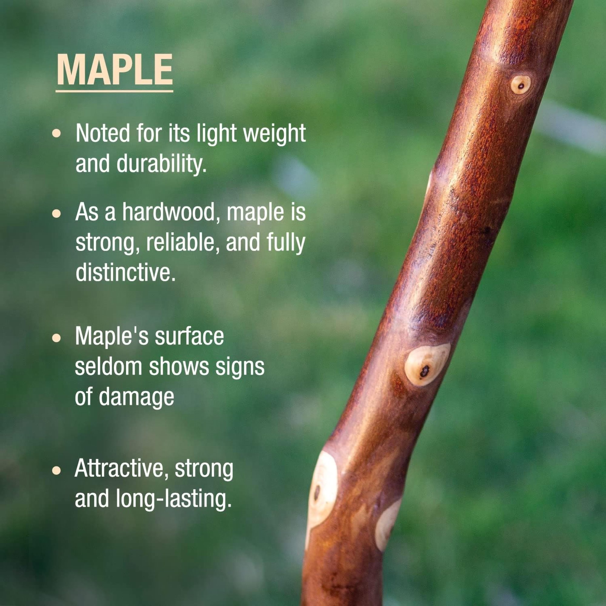 Brazos™ Maple Rustic Walking Stick, 55-Inch Height - Image 6