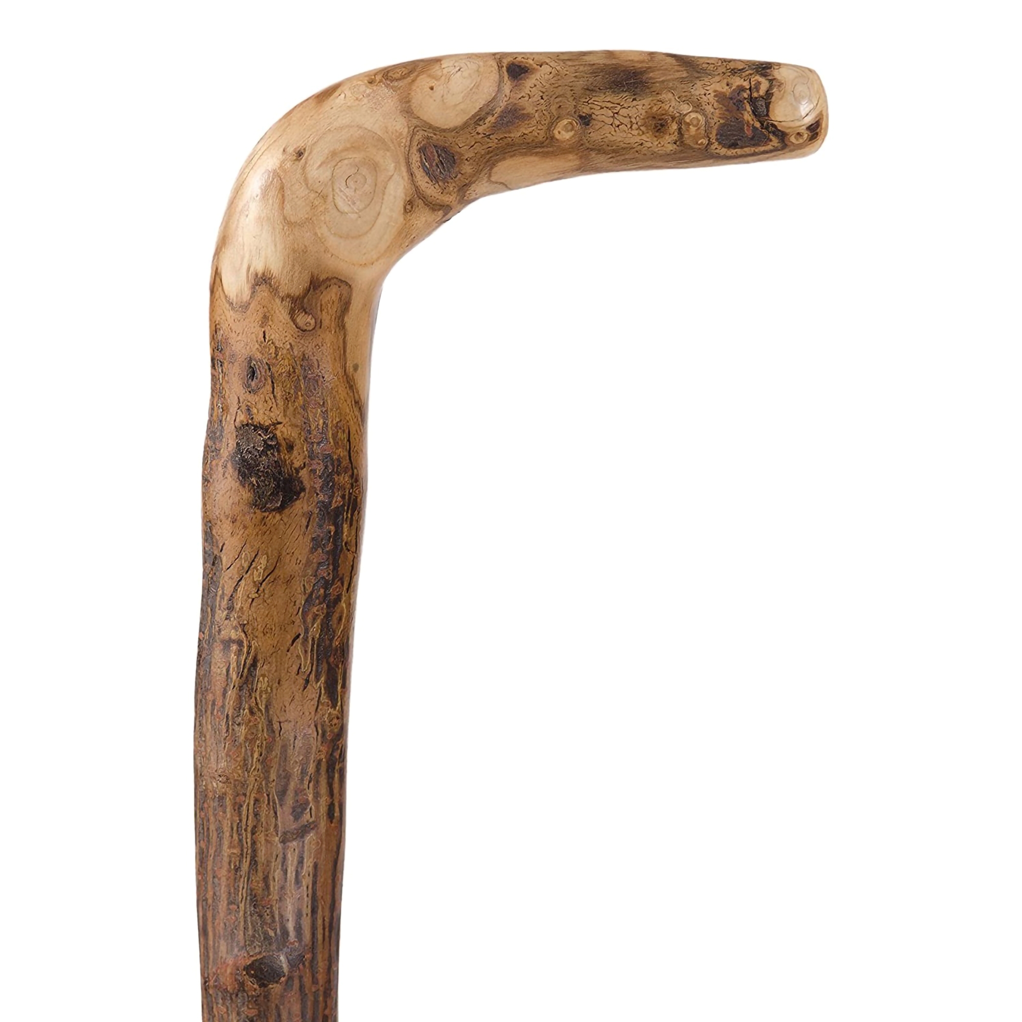 Brazos™ Natural Hardwood Root Cane, 40-Inch Height - Image 3