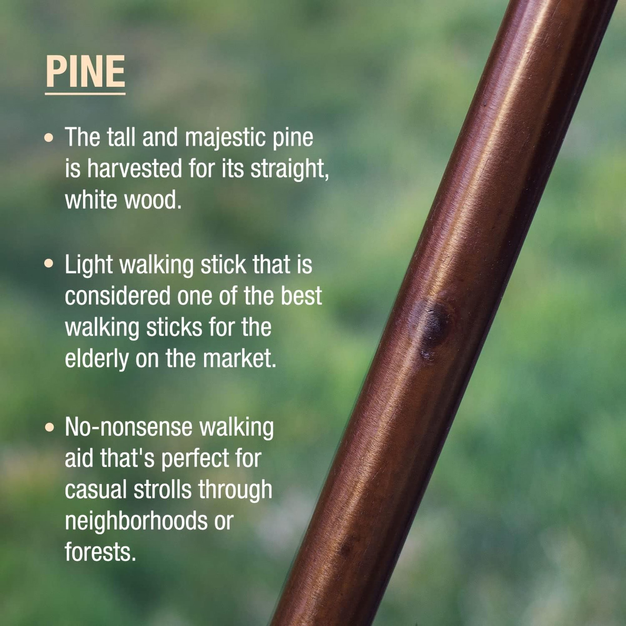 Brazos™ Traditional Straight Pine Handcrafted Walking Stick, 55-Inch, Brown - Image 5