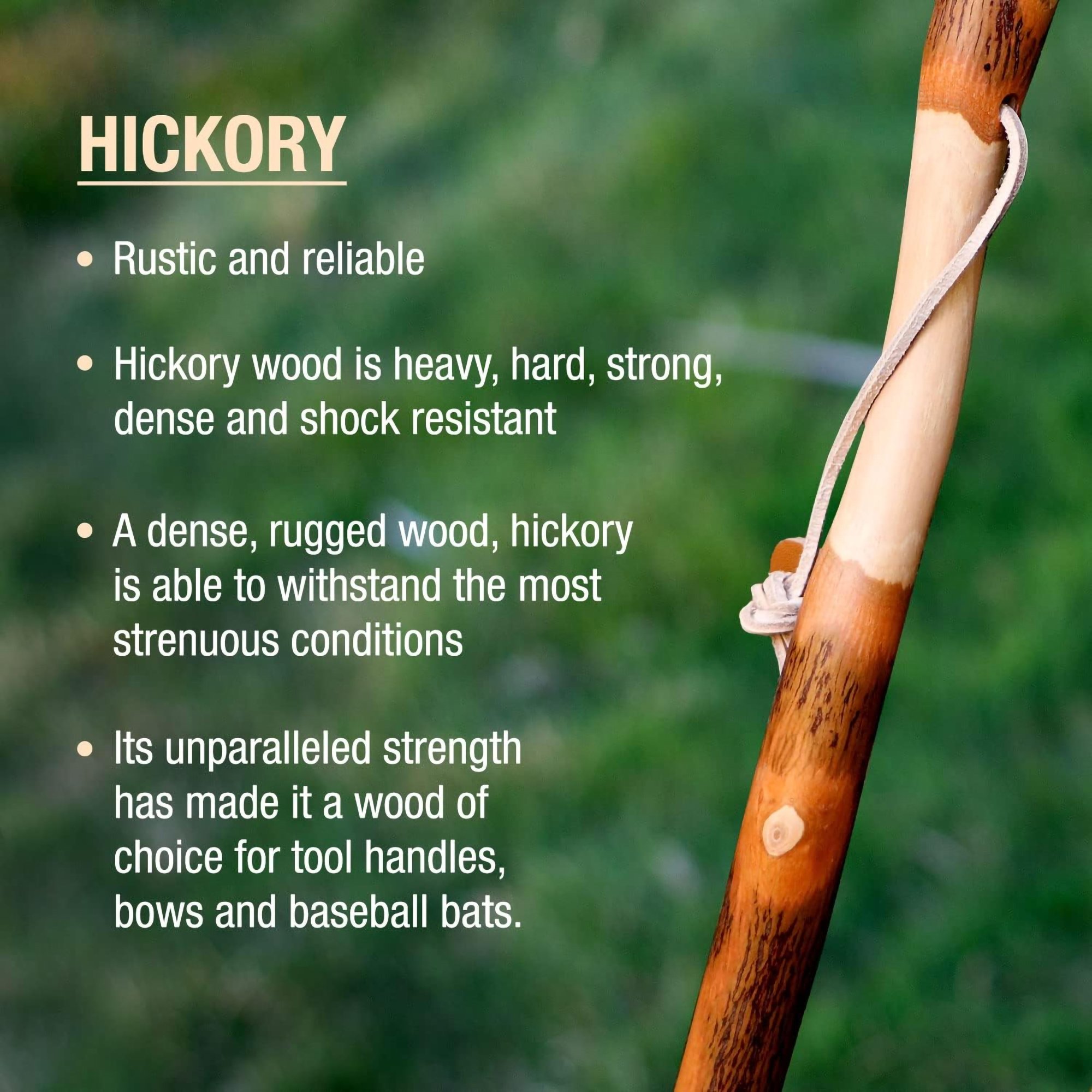 Brazos™ Twisted Hickory Rustic Walking Stick, 41-Inch - Image 7