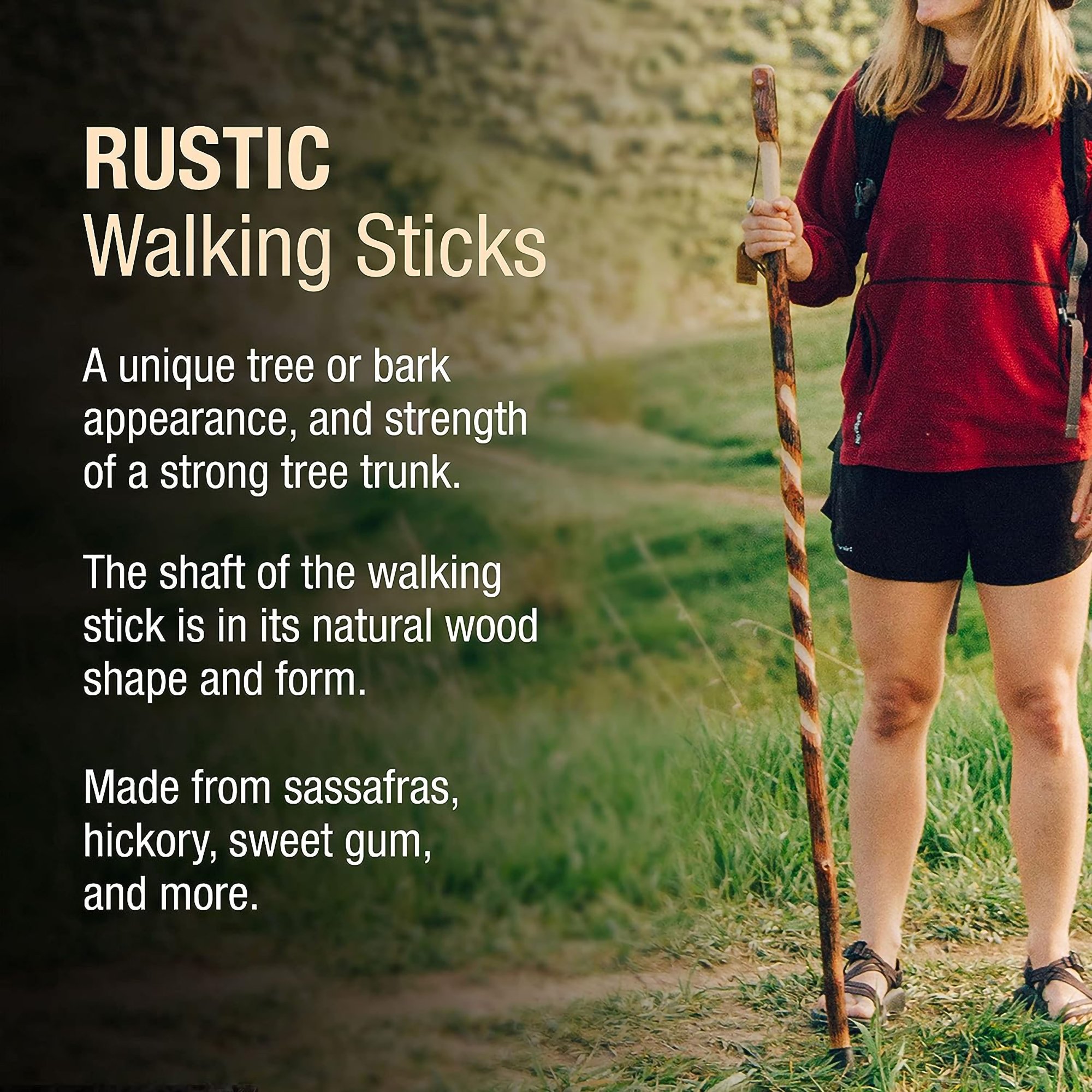 Brazos™ Twisted Hickory Rustic Walking Stick, 41-Inch - Image 9