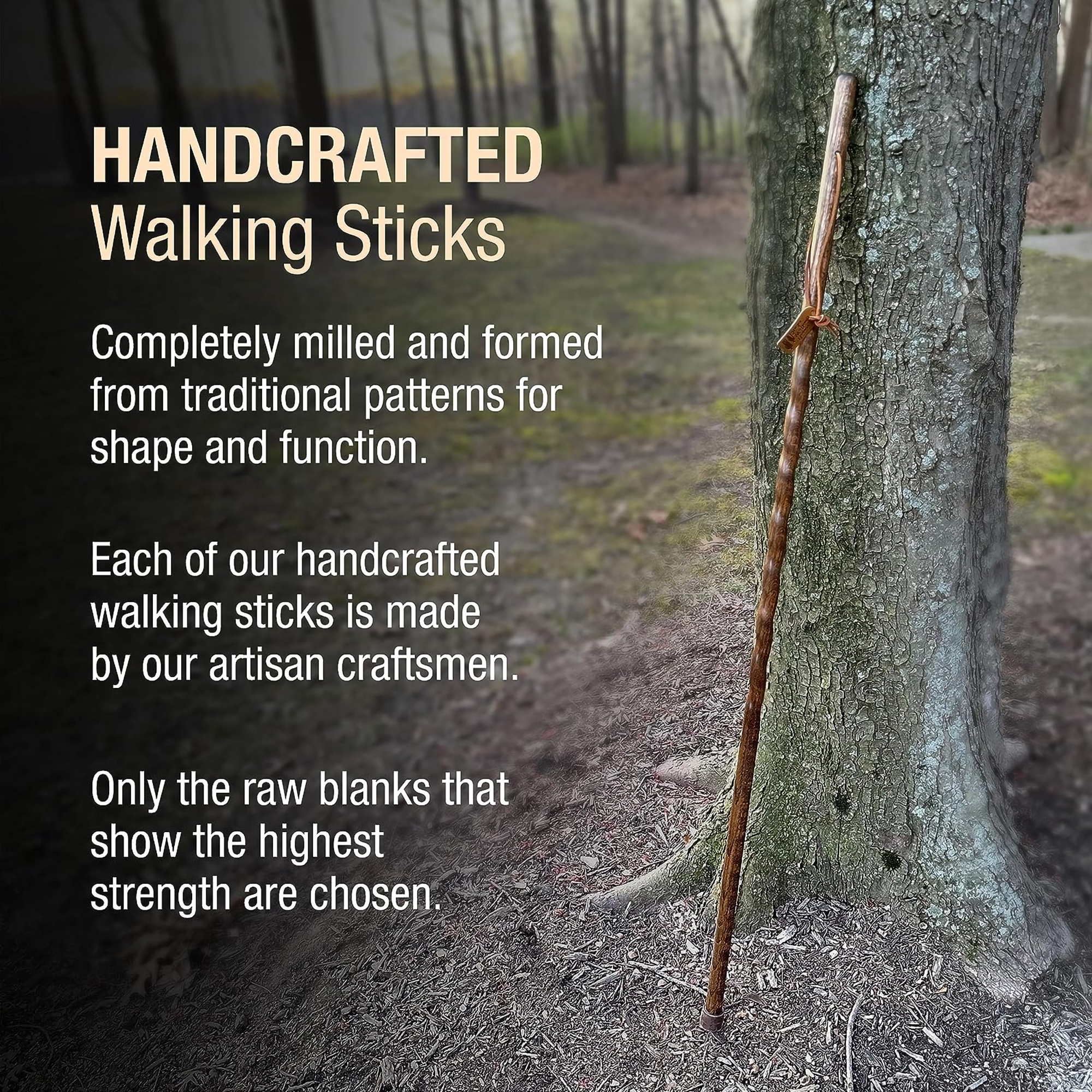 Brazos™ Twisted Pine Handcrafted Walking Stick, 55-Inch - Image 8