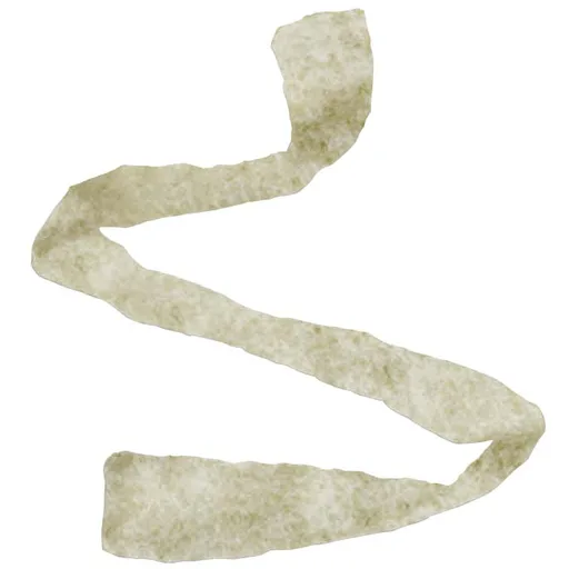 Derma Sciences Algicell Silver Alginate Wound Dressing, 3/4" x 12" Rope