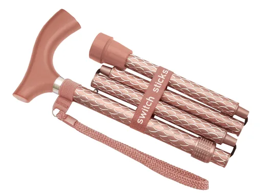Briggs Switch Sticks Designer Walking Stick