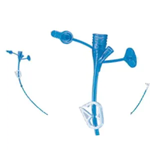 Halyard Professional MIC-KEY Non-Bolus Extension Set 12" L