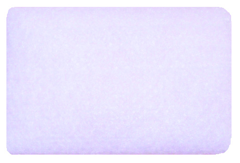 Roscoe CPAP Hypoallergenic Filter, for AirSense 10/S9 Series CPAP Machine