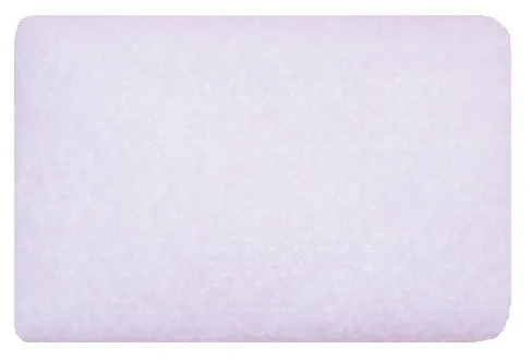 Roscoe CPAP Hypoallergenic Filter