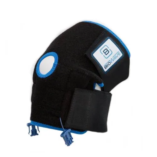 Back BioWrap Blue, Large/X-Large