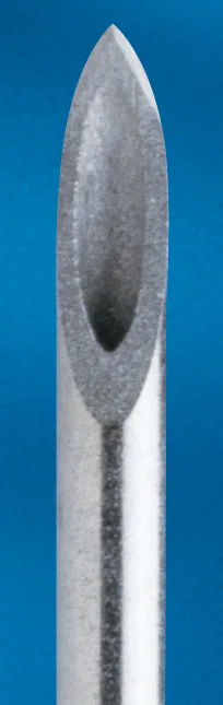 BD Quincke Long Length Spinal Needle 22G x 5"