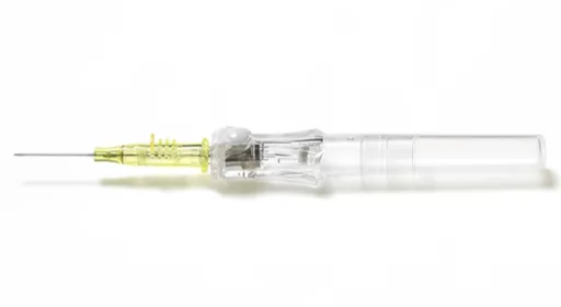 BD Insyte Autoguard BC Shielded IV Catheter