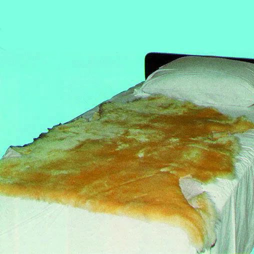Sheepskin Ranch Sofsheep Sheepskin Pad